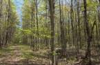 Terre à bois