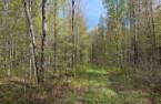 Terre à bois