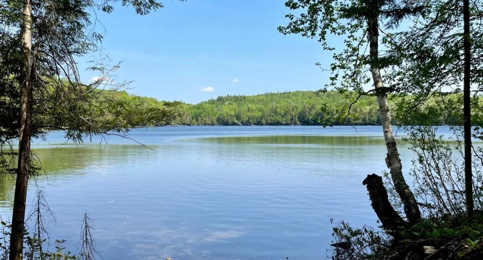 Accès au plan d'eau