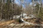 Terre/Terrain