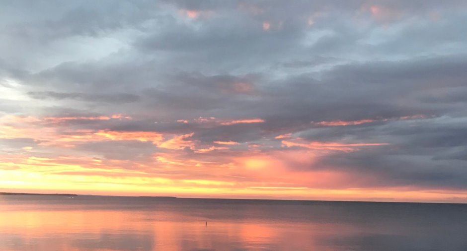 Vue sur l'eau