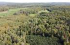 Terre à bois
