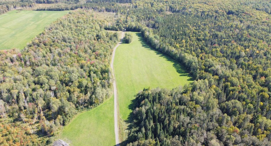 Terre à bois