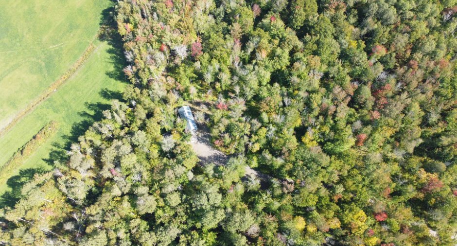 Terre à bois