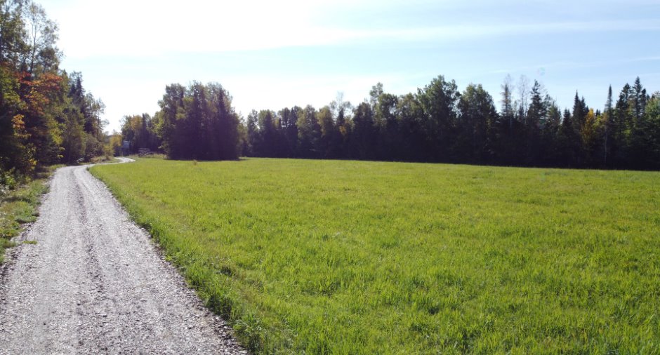 Terre/Terrain