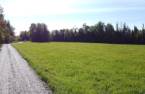 Terre/Terrain