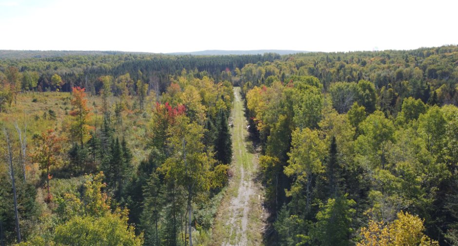 Terre à bois