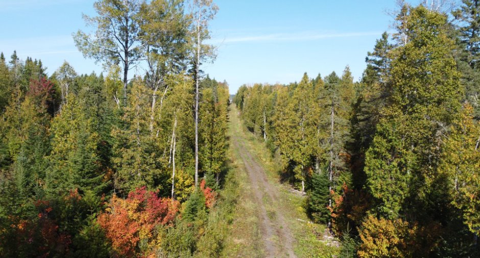 Terre à bois