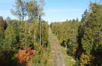 Terre à bois