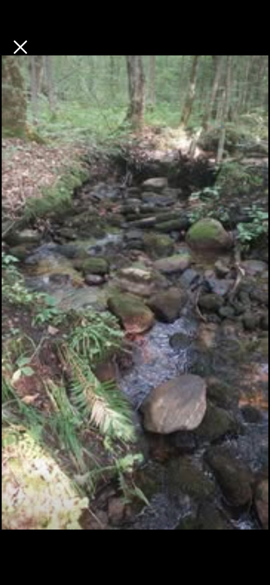 Ch. du Lac-Grenier — photo 1