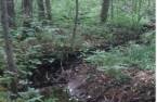 Land/Lot