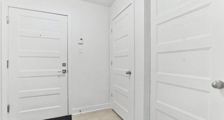 Hall d’entrée/Vestibule