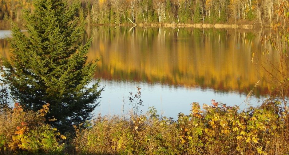 Bord de l'eau