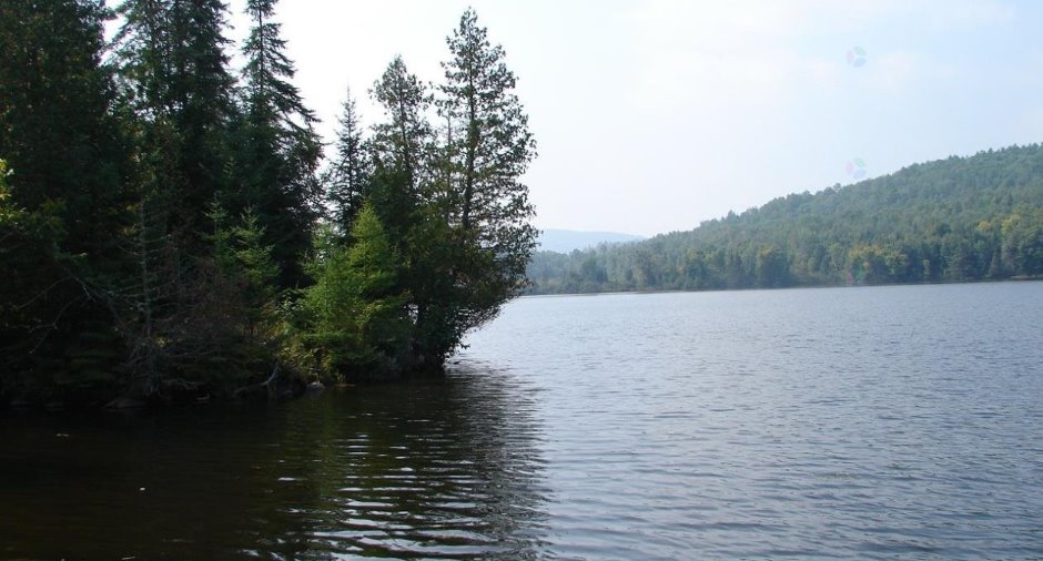 Bord de l'eau