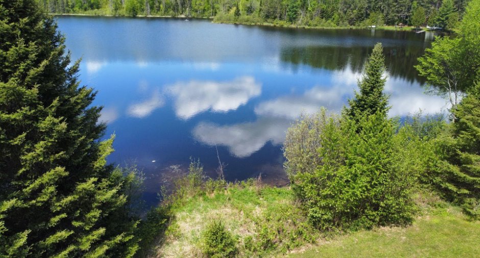Vue sur l'eau