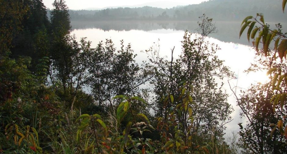 Bord de l'eau