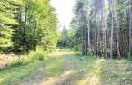 Land/Lot