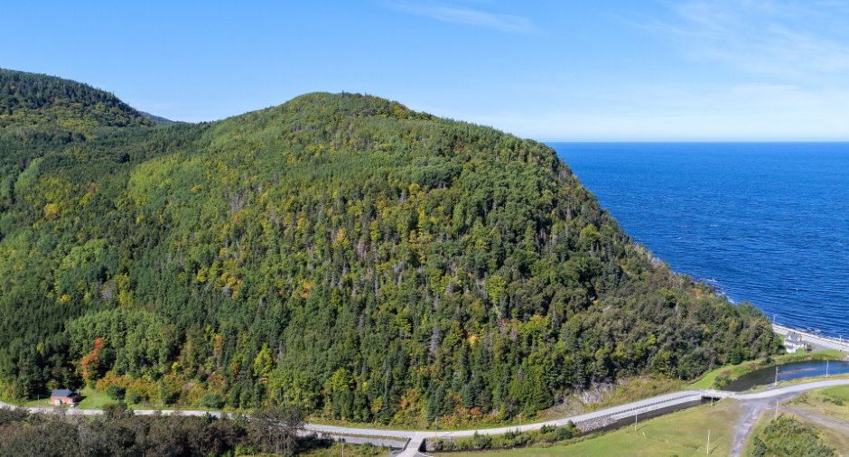 Vue d'ensemble