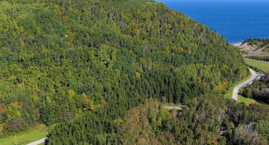 Terre/Terrain