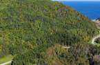 Terre/Terrain