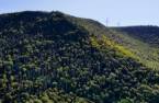 Terre/Terrain