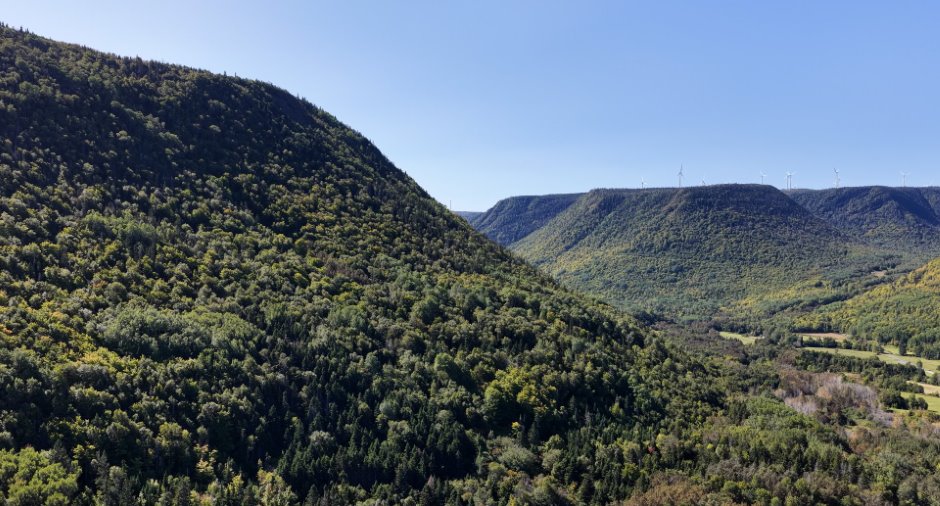 Terre/Terrain