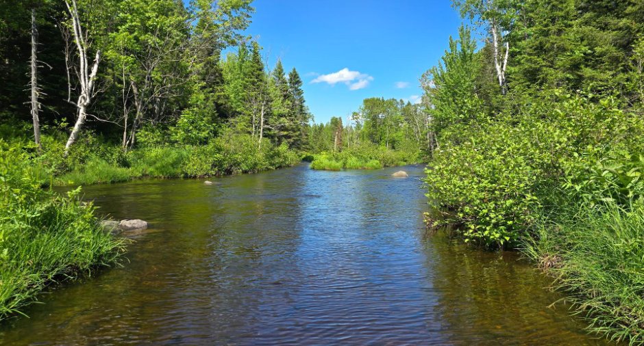 Bord de l'eau