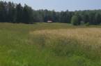 Terre/Terrain