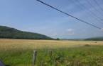 Terre/Terrain