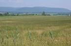 Terre/Terrain