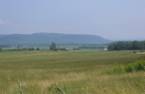 Terre/Terrain