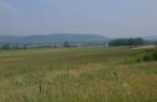 Terre/Terrain