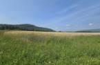 Terre/Terrain