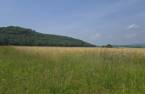 Terre/Terrain