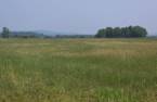 Terre/Terrain