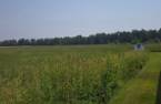Terre/Terrain