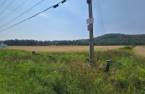 Terre/Terrain