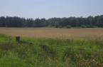 Terre/Terrain