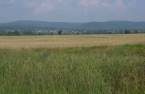 Terre/Terrain
