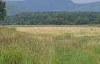 Terre/Terrain