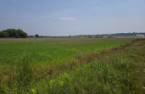 Terre/Terrain