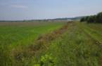Terre/Terrain