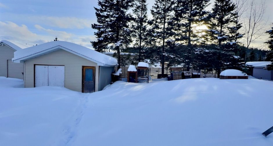 Shed