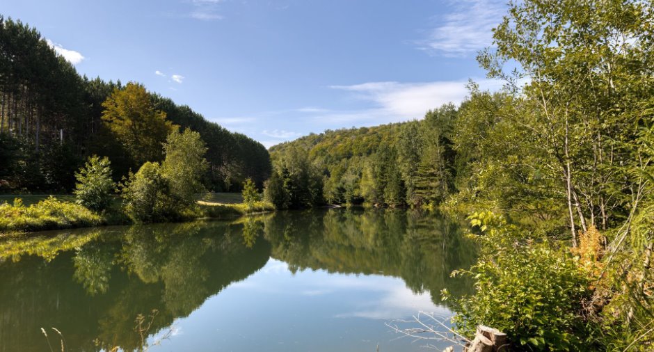 Vue sur l'eau