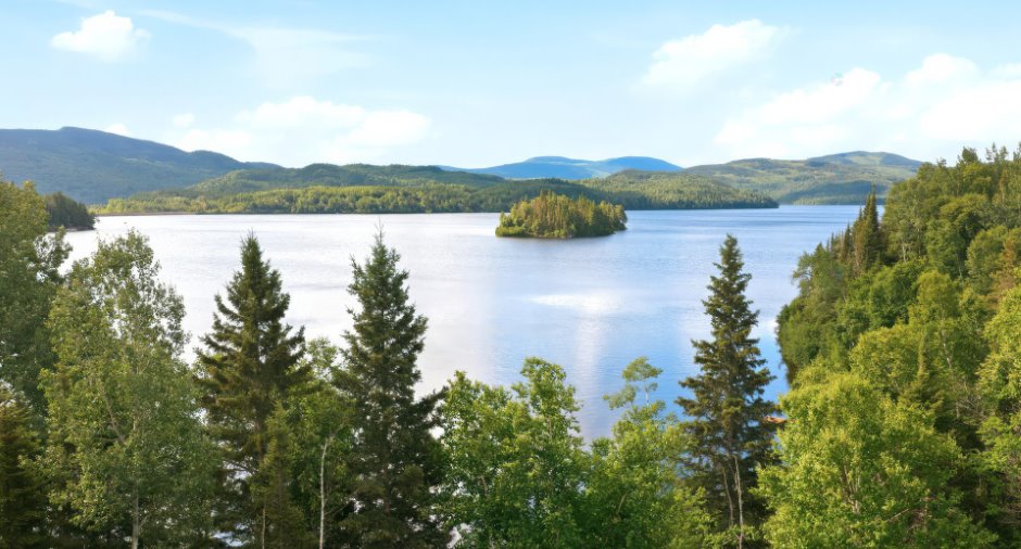 Vue sur l'eau