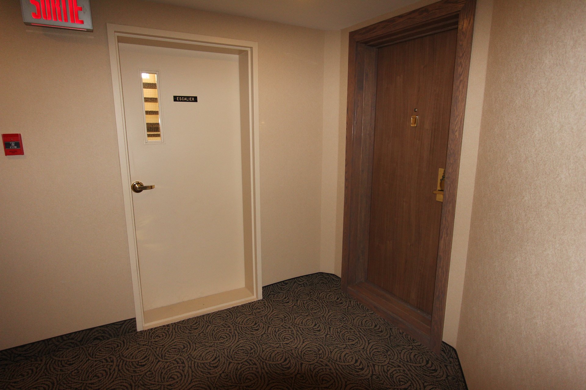910 Rue Gérard-Morisset (#311) — photo 2