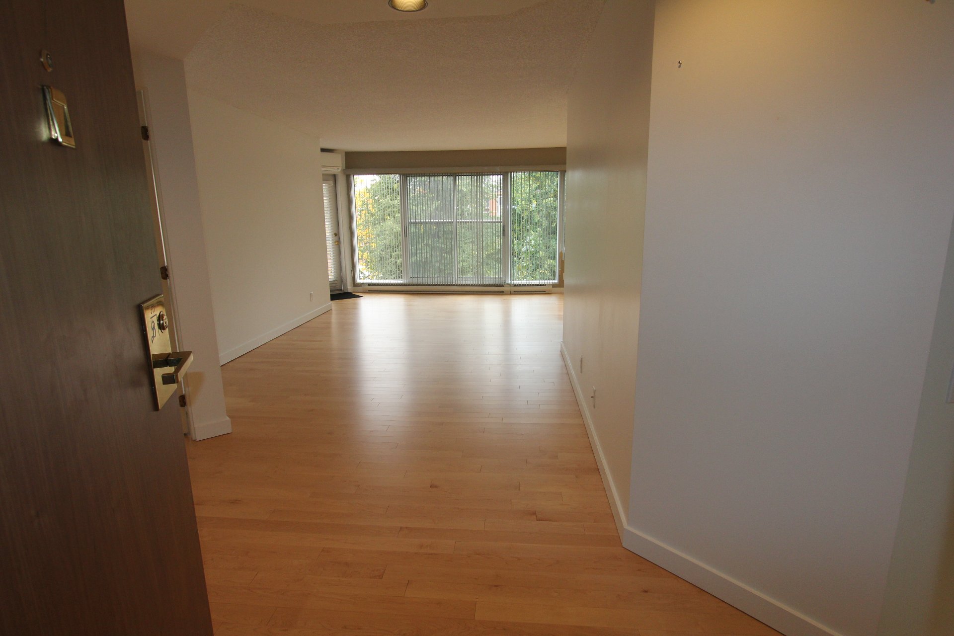 910 Rue Gérard-Morisset (#311) — photo 3