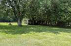 Cour