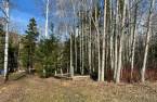 Land/Lot