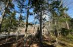 Land/Lot